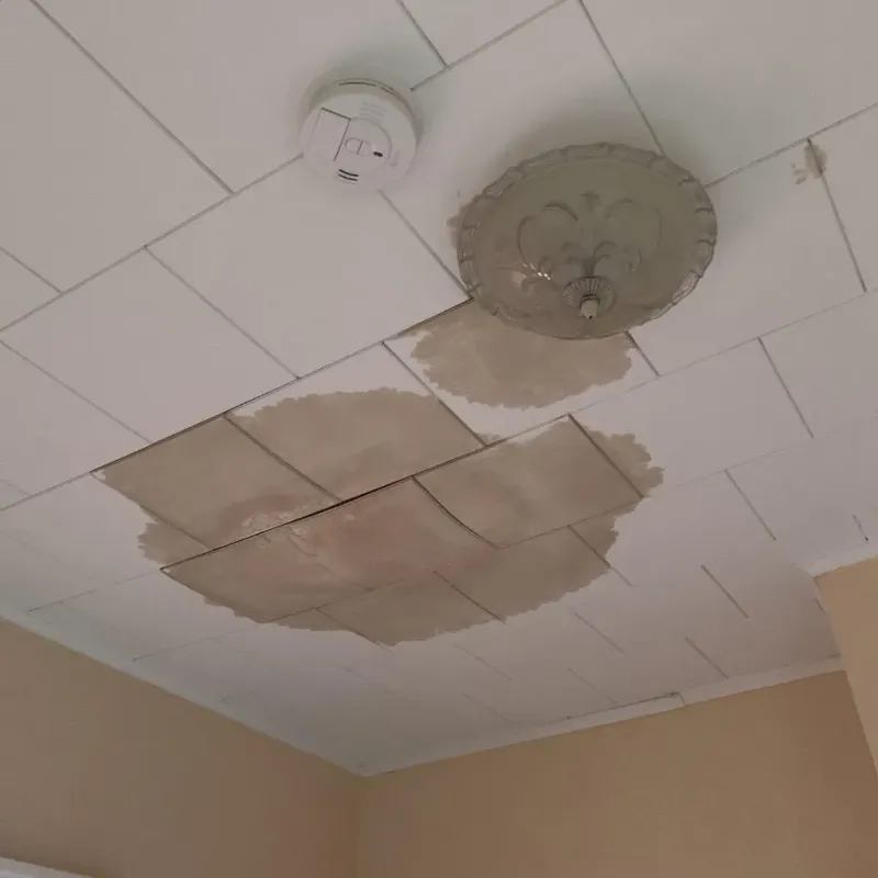 Ceiling Water Damage Repair in Longview, TX