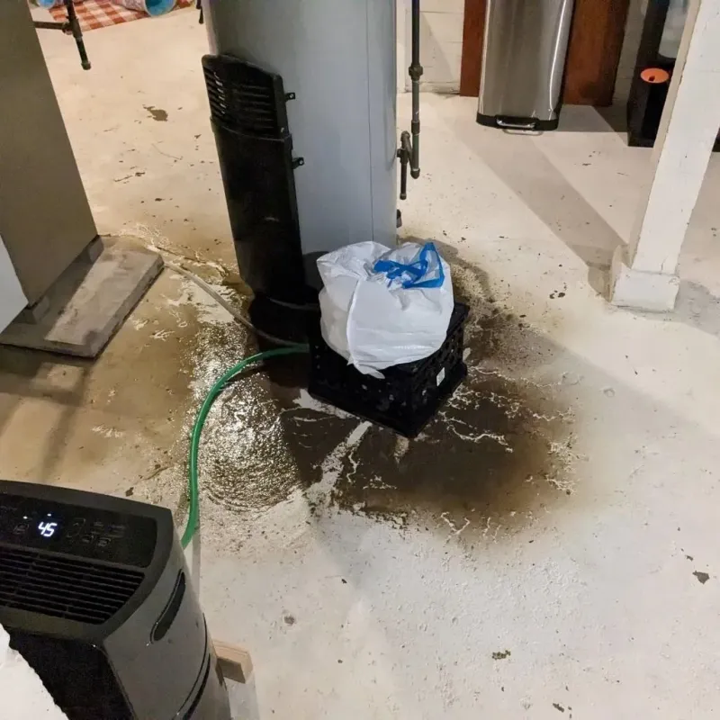 Sewage Backup Cleanup Service in Longview, TX